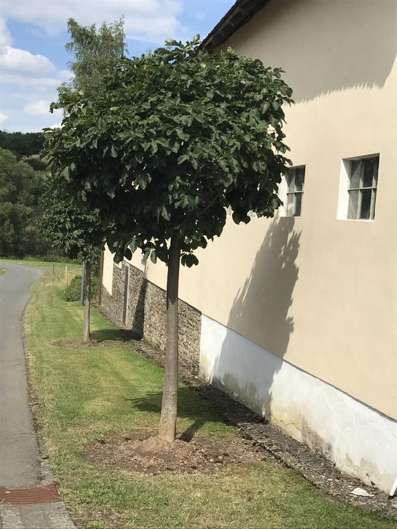 Ferienwohnung Schloessershof Borler Екстериор снимка